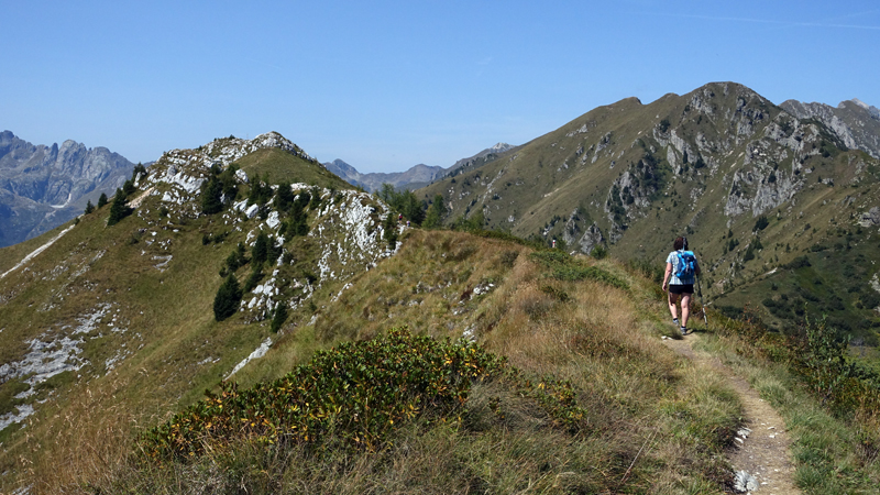 2017-08-30_125044 trentino-suedtirol-2017.jpg - Trodo dei fiori - Bergwanderweg am Passo Brocon                               